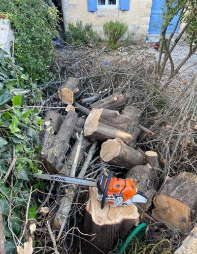 Élagage et abattage sécurisés à Nîmes