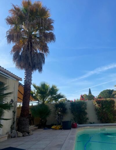 Paysagiste professionnel pour jardins à Nîmes