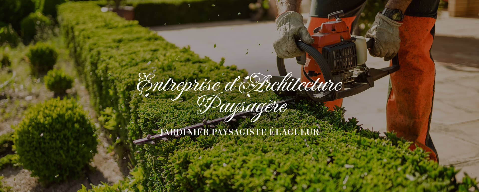 Abattage d'arbres par démontage à Langlade