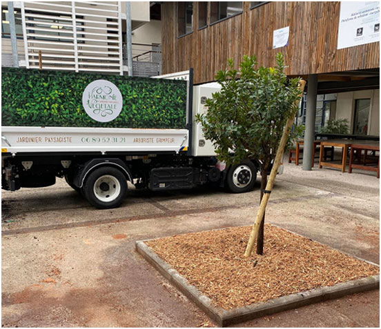 Abattage d'arbres par démontage à Langlade